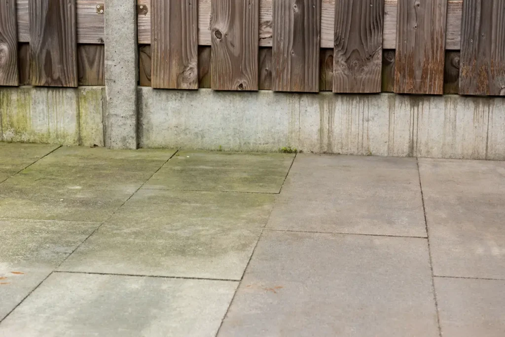 Betonnen terrasplaten met groenachtige mos- of algenvlekken naast een houten schutting en een betonnen muur.