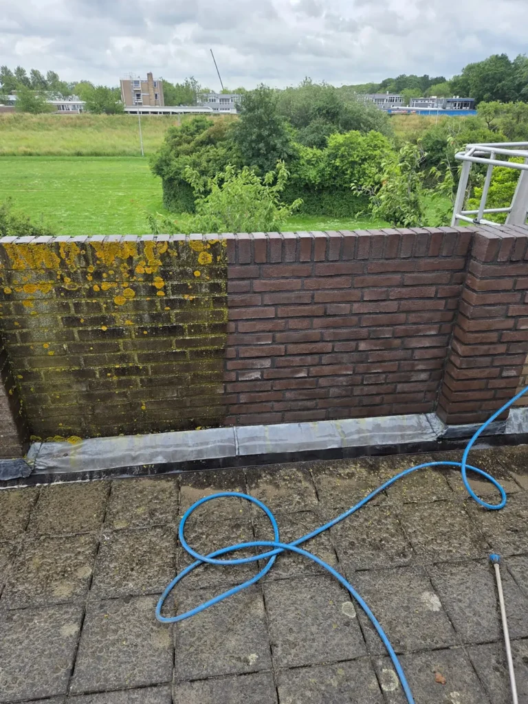 Een bakstenen muur is half schoongemaakt, waardoor er een duidelijk contrast te zien is tussen de vuile, met mos begroeide linkerkant en de schone rechterkant. Voor de muur ligt een blauwe slang opgerold op de betegelde vloer. Op de achtergrond zijn groen gras en bomen te zien.