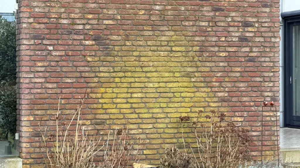 Een rode bakstenen muur met een grote, onregelmatige gele verkleuring. Aan de voet van de muur zijn verdroogde planten en kale takken te zien, en aan de randen zijn gedeeltelijk ramen zichtbaar.