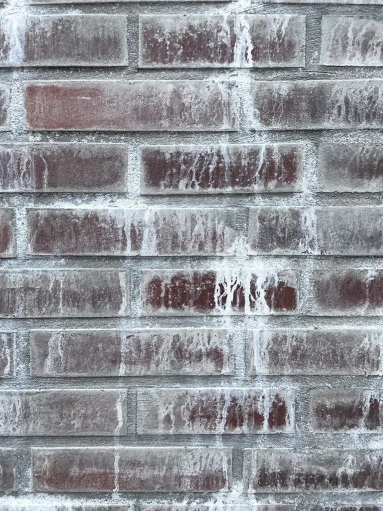 Een close-up van een rode bakstenen muur met zichtbare witte kalkaanslag of zoutafzettingen, die strepen en vlekken op het oppervlak vormen.